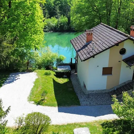 Kolpa Paradise מטליקה